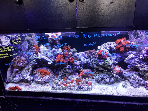 Aquarium «Old Orchard Aquarium», reviews and photos, 9235 Skokie Blvd, Skokie, IL 60077, USA