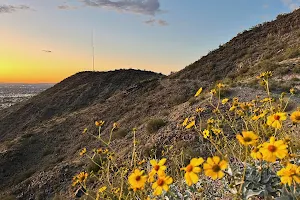 Mountain View Park image