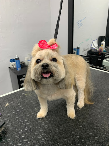 Pet Store «DipidyDawg Gourmet Dog Bakery & Boutique», reviews and photos, 21301 S Tamiami Trail Suite 430, Estero, FL 33928, USA