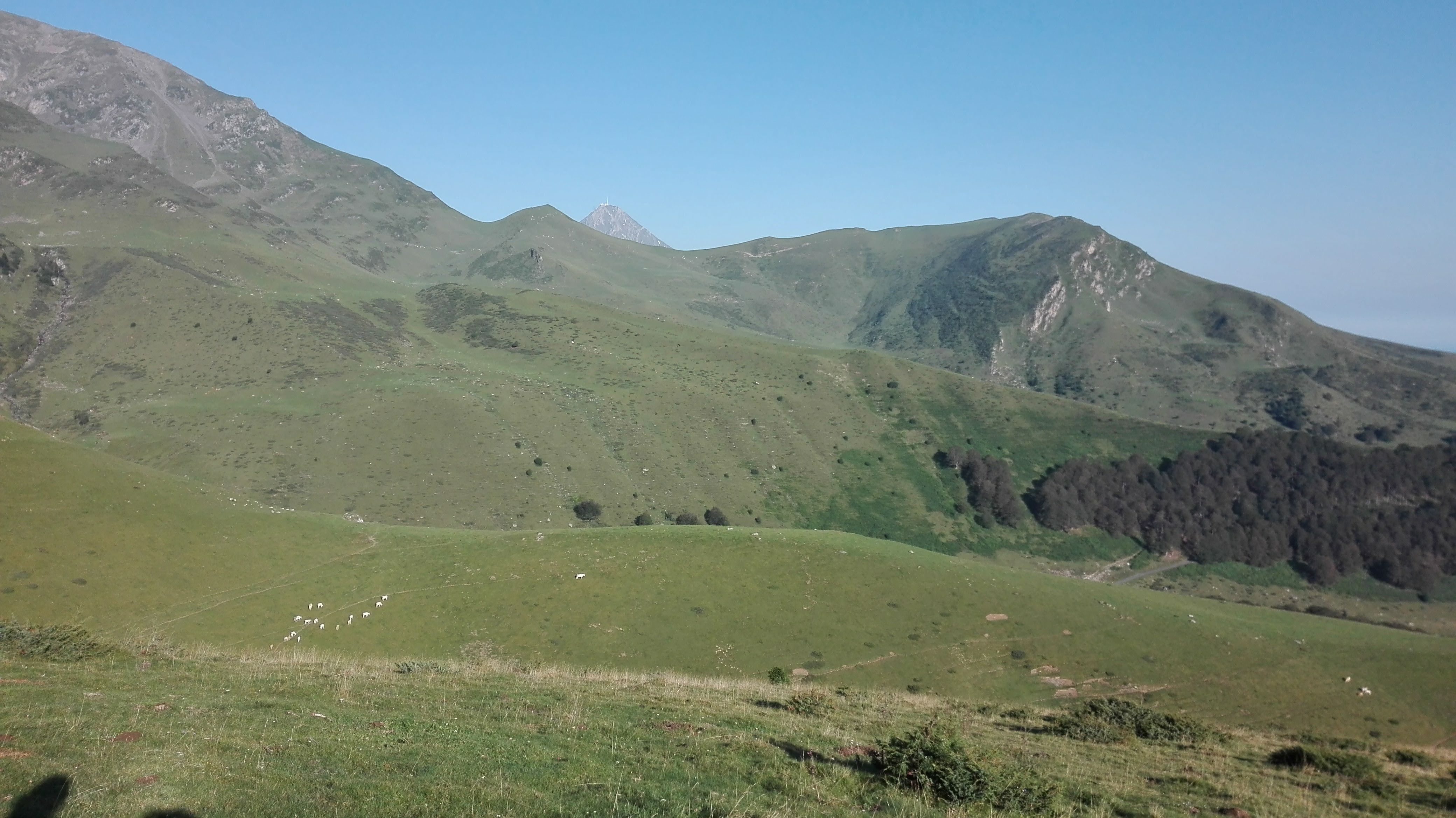 Photo n° 5 de l'avis de LOUIT.O fait le 11/08/2018 à 12:28
