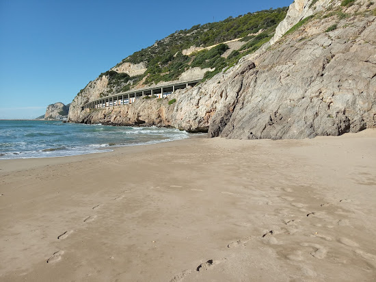Platja Port Ginesta