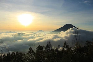 Gunung Sikunir image