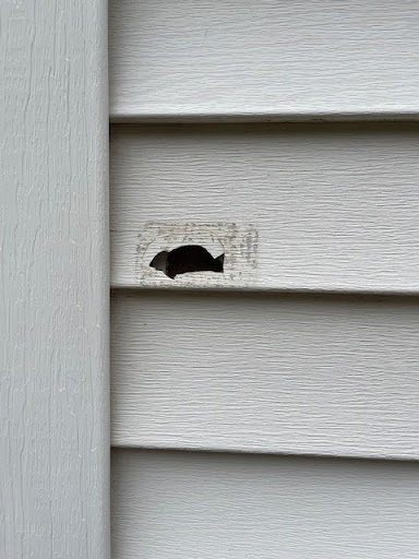 General Contractor «Krech Exteriors», reviews and photos, 5866 Blackshire Path, Inver Grove Heights, MN 55076, USA