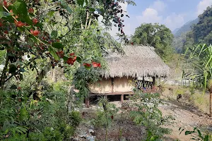 Marang Jungle Lodge image
