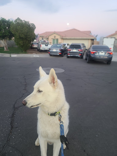 Pet Supply Store «PetSmart», reviews and photos, 79375 CA-111, La Quinta, CA 92253, USA