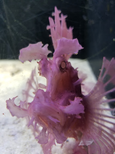 Pet Store «Wet Pets And Friends», reviews and photos, 3695 Washington Rd, Canonsburg, PA 15317, USA