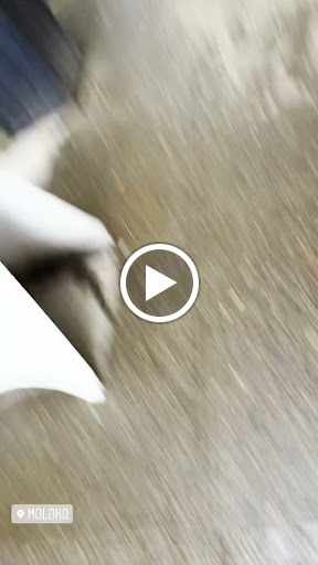 Cocktail Bar «Moloko», reviews and photos, 3967 N Mississippi Ave, Portland, OR 97227, USA