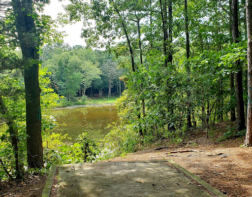 Disc Golf Course «South Vineland Disc Golf Course- Crystal Lake», reviews and photos, W Elmer Rd, Vineland, NJ 08360, USA