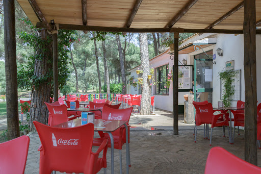 Bar Restaurante Dehesa Nueva
