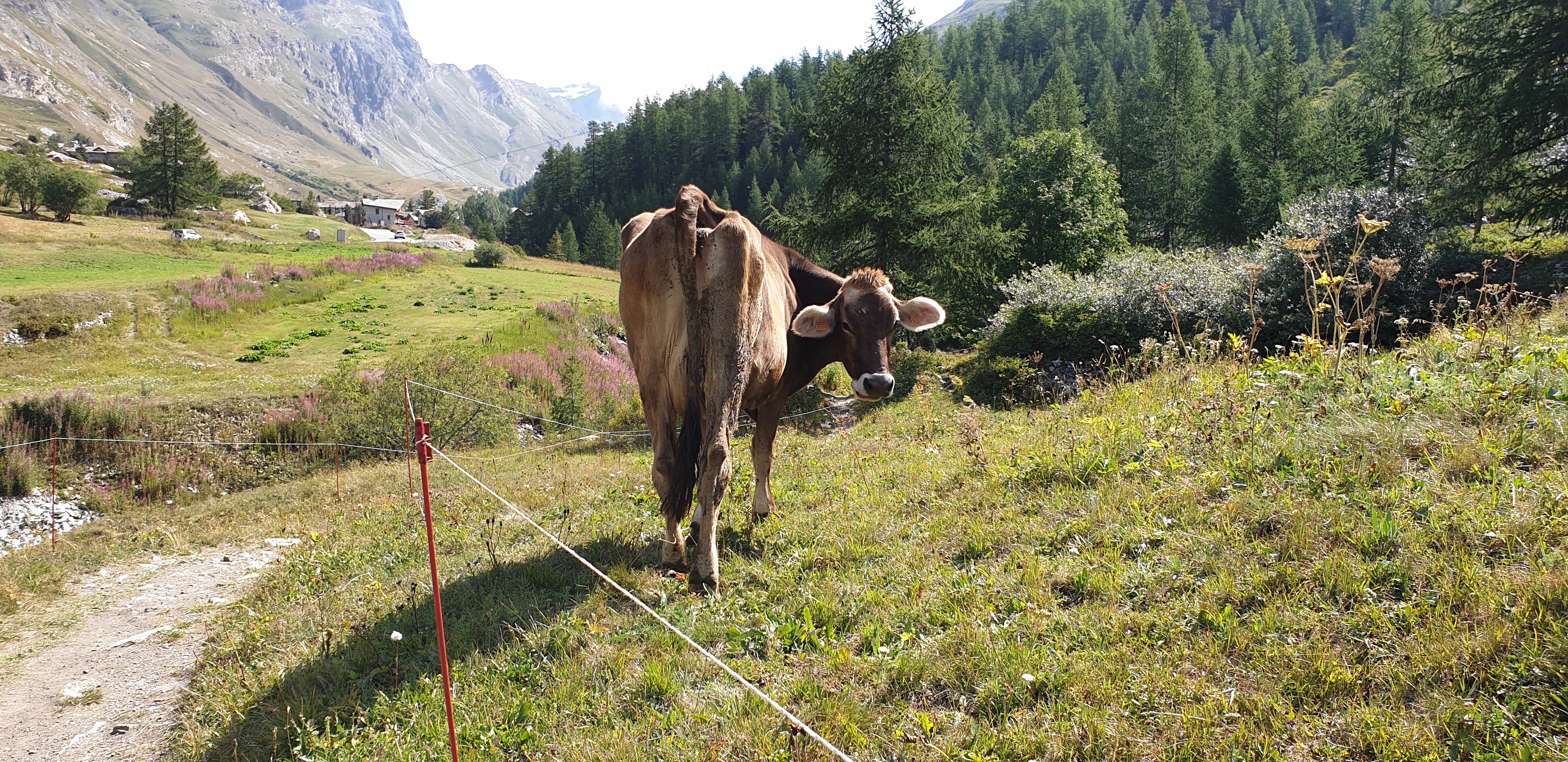 Photo n° 1 de l'avis de Olivier.O fait le 13/09/2019 à 23:24