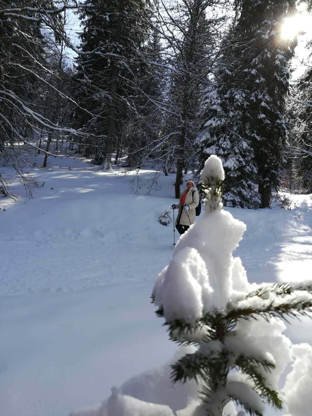 Photo n° 7 de l'avis de paisajes,.i fait le 08/03/2020 à 23:01
