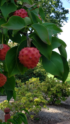 Golf Club «Hackensack Golf Club», reviews and photos, 880 Soldier Hill Rd, Emerson, NJ 07630, USA