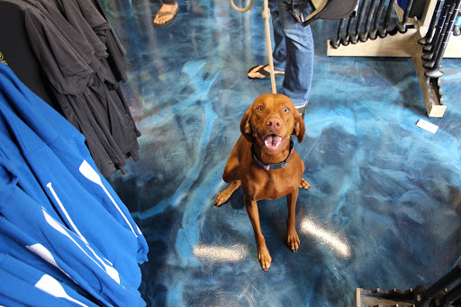 Surf Shop «West Coast Paddle Sports», reviews and photos, 4360 Morena Blvd #130, San Diego, CA 92117, USA