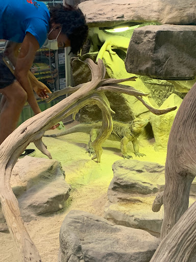 Pet Store «Incredible Pets Inc», reviews and photos, 2255 N Wickham Rd # 102, Melbourne, FL 32935, USA