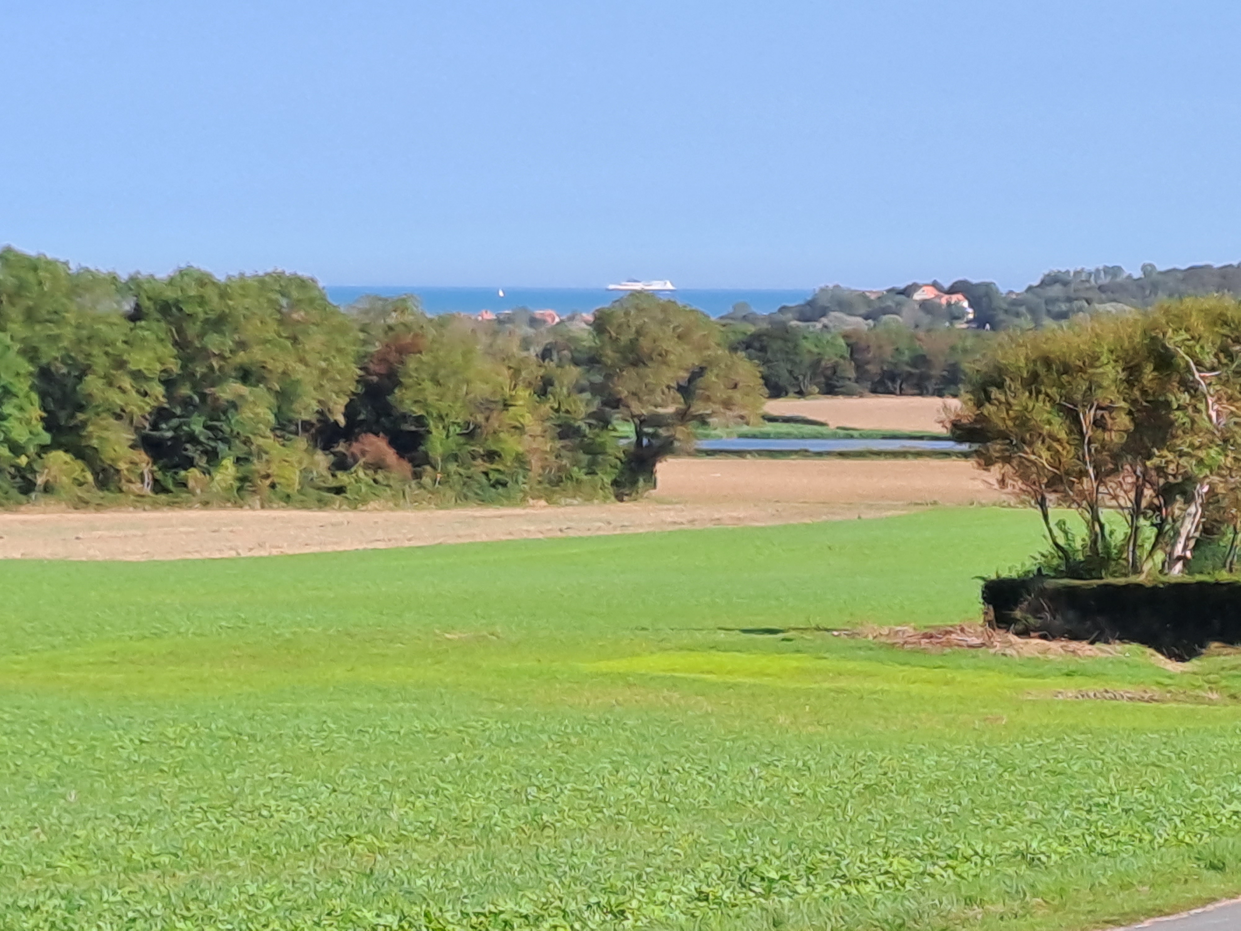 Photo n° 3 de l'avis de Gerda.o fait le 15/09/2023 à 20:02