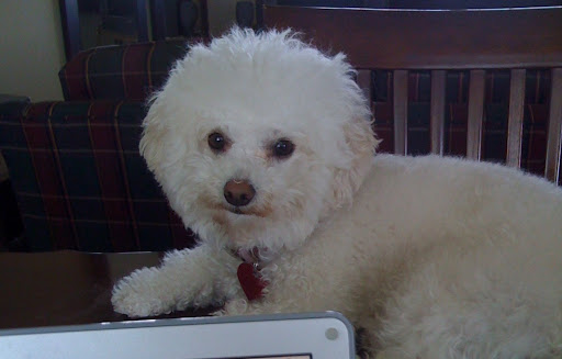 1735 N Cleveland Massillon Rd, Bath, OH 44210, USA