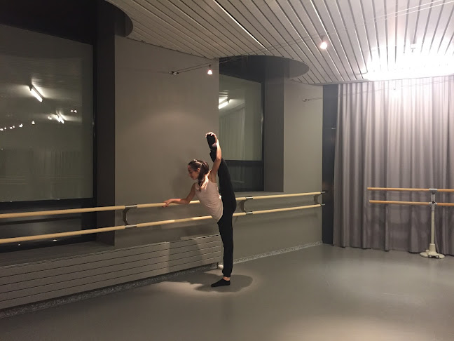 Area Danza - pre Accademia di Danza della Svizzera Italiana - Lugano