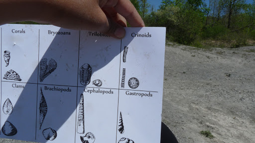 Nature Preserve «Penn Dixie Fossil Park & Nature Reserve», reviews and photos, 4050 North St, Blasdell, NY 14219, USA