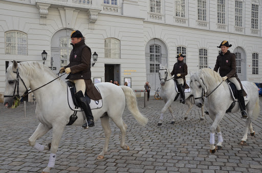Horse riding schools Vienna