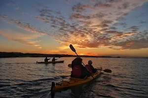 Canoe the Coorong- Guided kayaking tours & hire image