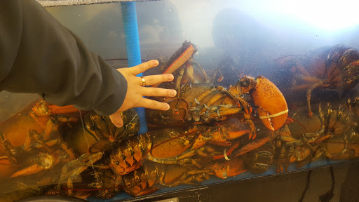 Asian Grocery Store «Kim Son Asian Food Market», reviews and photos, 960 E Pawnee St, Wichita, KS 67211, USA