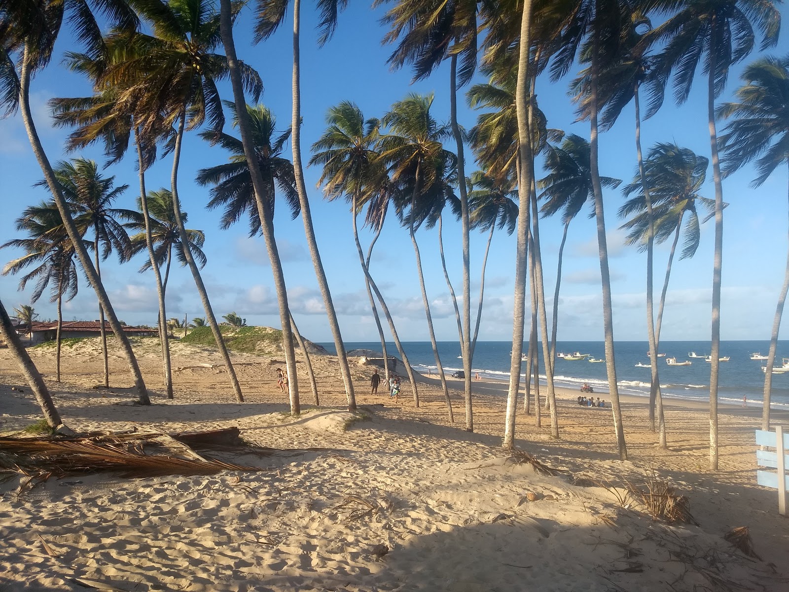 Foto di Spiaggia di Rio do Fogo - luogo popolare tra gli intenditori del relax