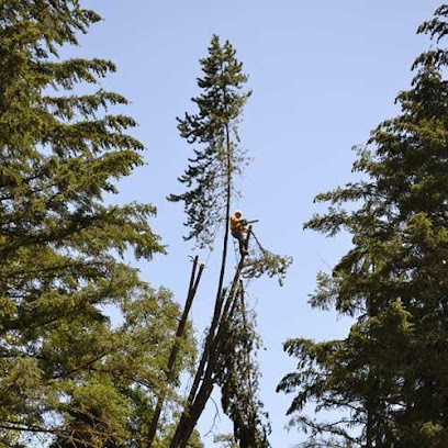 Sequoia Tree Care