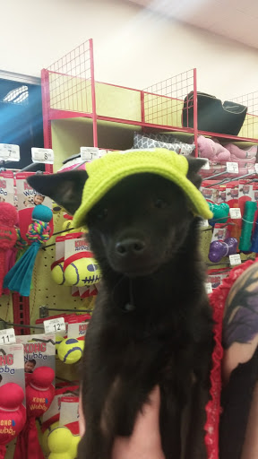 Pet Supply Store «Petco Animal Supplies», reviews and photos, 18200 NW Evergreen Pkwy, Beaverton, OR 97006, USA