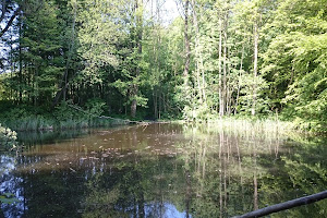 Kinderkrippe im Wald - Pädiko e.V.