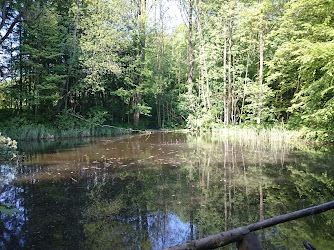 Kinderkrippe im Wald - Pädiko e.V.