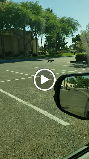 Golf Club «Vistas Course at Westbrook Village Golf Club», reviews and photos, 18823 Country Club Pkwy, Peoria, AZ 85382, USA