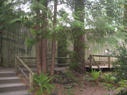 Museum «Lelooska Foundation», reviews and photos, 165 Merwin Village Rd, Ariel, WA 98603, USA