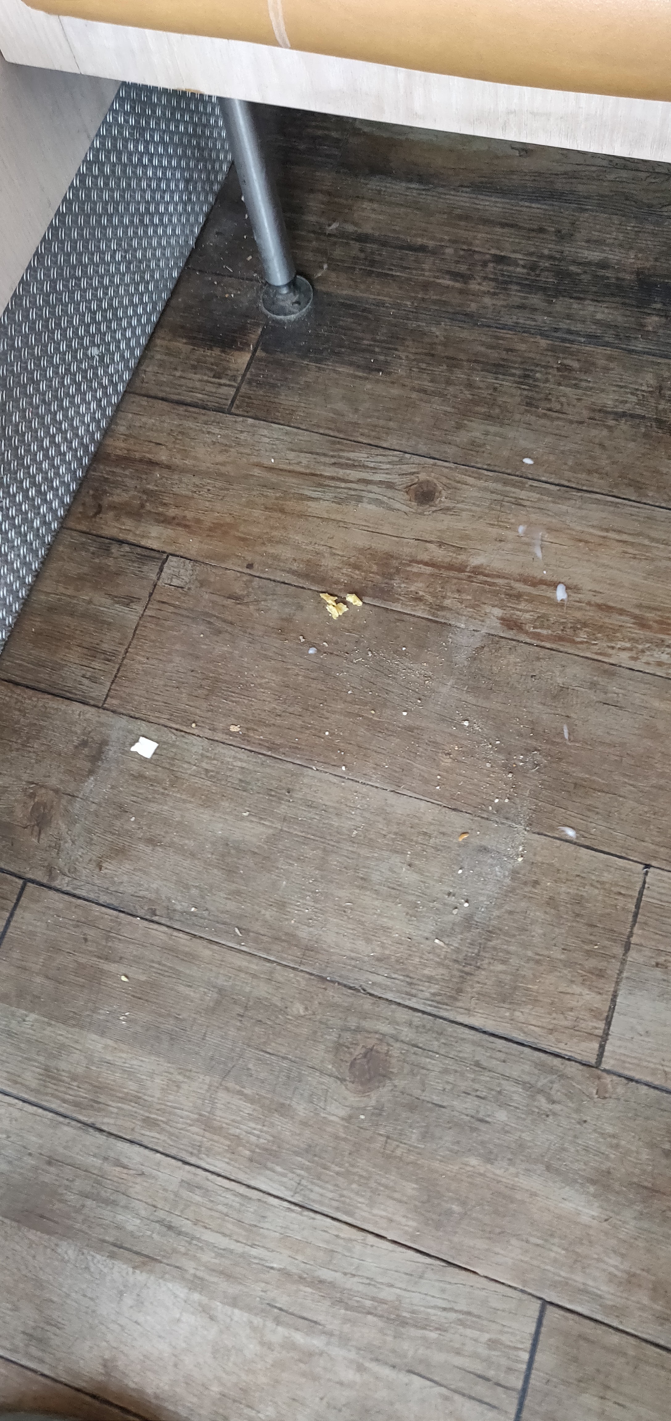 Photo n° 1 de l'avis de Stefano.. fait le 25/08/2018 à 13:17