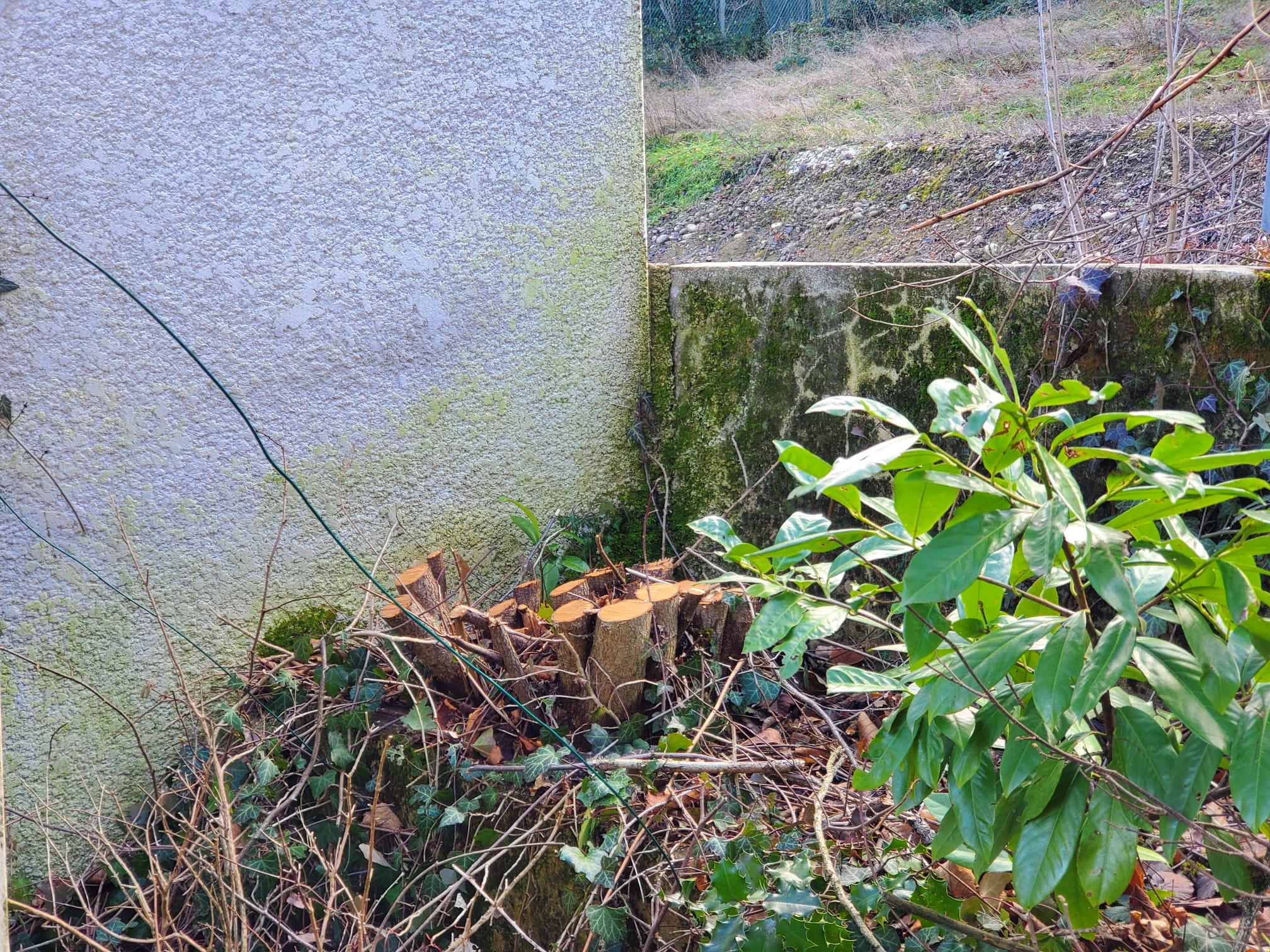 Photo n° 1 de l'avis de Mélissa. fait le 25/01/2024 à 13:53
