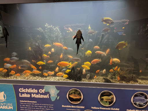 Community Center «The Salvation Army Kroc Center», reviews and photos, 1865 Harrison Ave, Camden, NJ 08105, USA