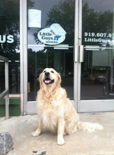 Moving Company «Little Guys Movers Raleigh», reviews and photos, 1301 Capital Blvd, Raleigh, NC 27603, USA