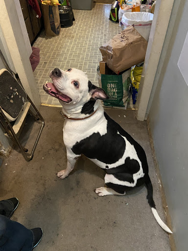 Pet Supply Store «PetSmart», reviews and photos, 475 Bank St, Waterbury, CT 06708, USA