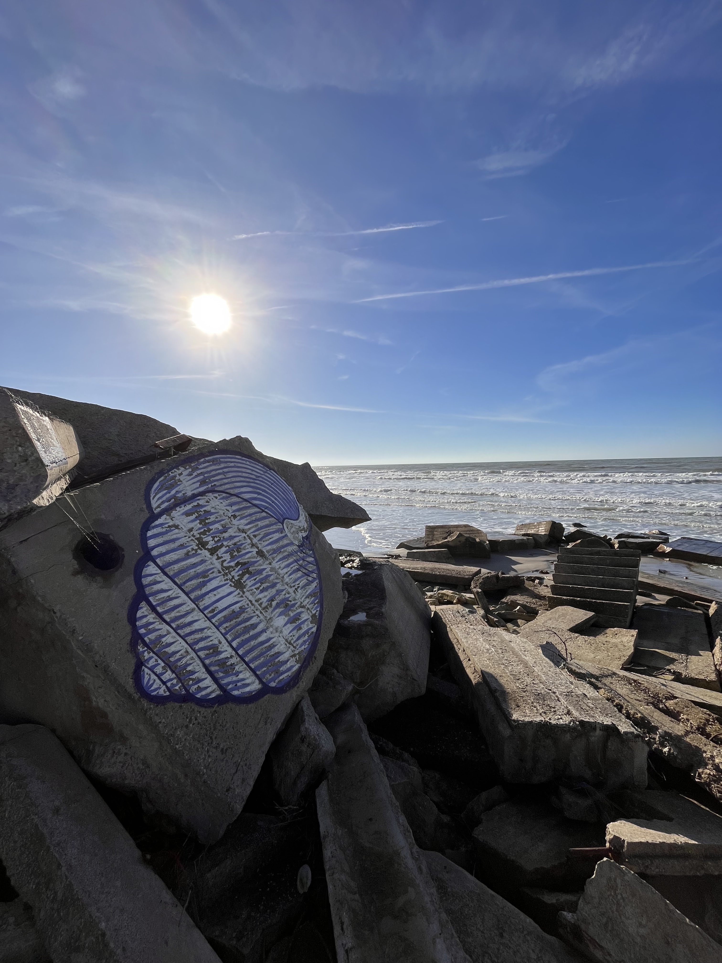 Photo n° 1 de l'avis de Maarten. fait le 13/11/2022 à 14:39