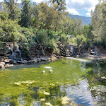 Photo n°10 de l'avis de Elixo. fait le 14/07/2021 à 15:31 sur le  Su Meriacru | Cucina Identitaria à Siniscola