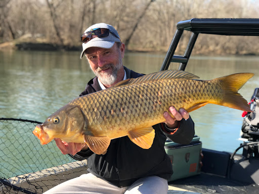 Fishing Store «Albemarle Angler», reviews and photos, 1129 Emmet St N, Charlottesville, VA 22903, USA