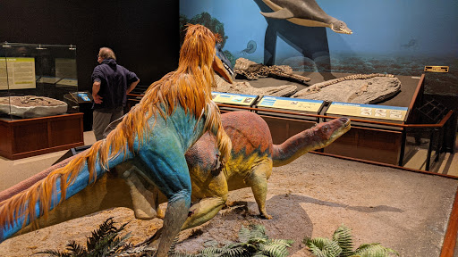 Science Museum «Museum of the Rockies», reviews and photos, 600 W Kagy Blvd, Bozeman, MT 59717, USA