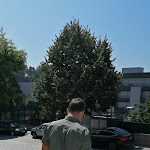 Photo n°1 de l'avis de Manuel.o fait le 22/08/2021 à 15:07 sur le  A Tasca Da Joana à Marco de Canaveses