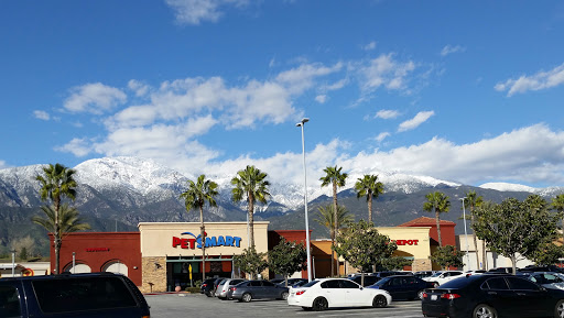 PetSmart image