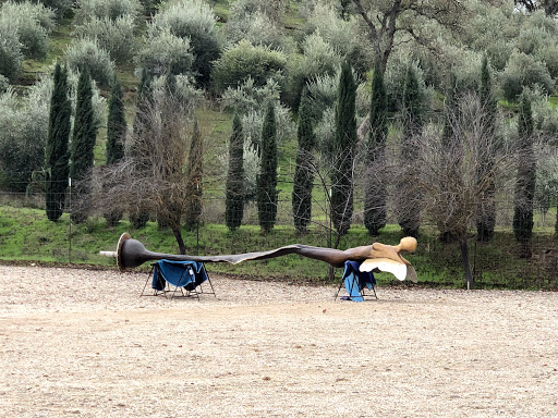 Sculpterra Winery and Sculpture Garden image