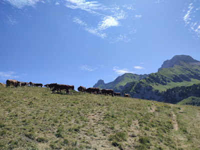 Col de Cenise à Mont-Saxonnex