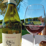 Photo n°3 de l'avis de Paolo.i fait le 07/05/2023 à 14:49 sur le  Agriturismo Guendalina ristorante azienda Morani à Santa Severa Nord