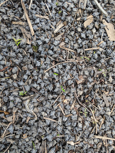 Park «Mohawk Landing Nature Preserve», reviews and photos, 640 Riverview Rd, Rexford, NY 12148, USA