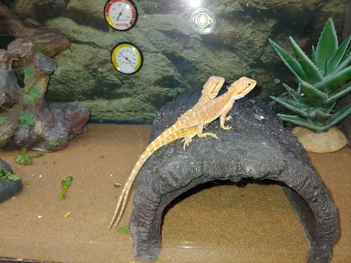 Pet Supply Store «Petco Animal Supplies», reviews and photos, 26 Coliseum Crossing, Hampton, VA 23666, USA