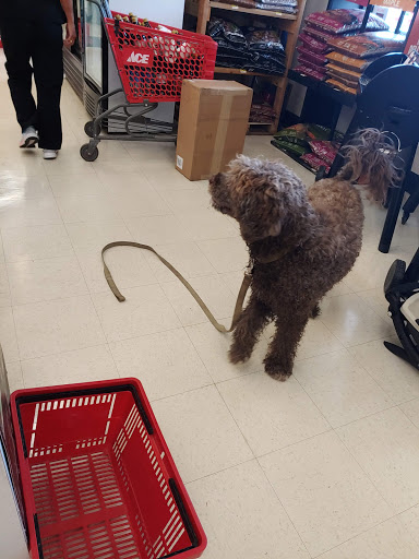 Hardware Store «Ace Peninsula Hardware», reviews and photos, 12490 Warwick Blvd, Newport News, VA 23606, USA