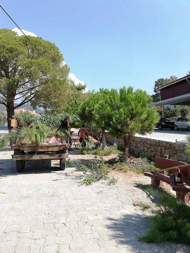 Söğüt Vacide Tugay İlk-Orta Okulu